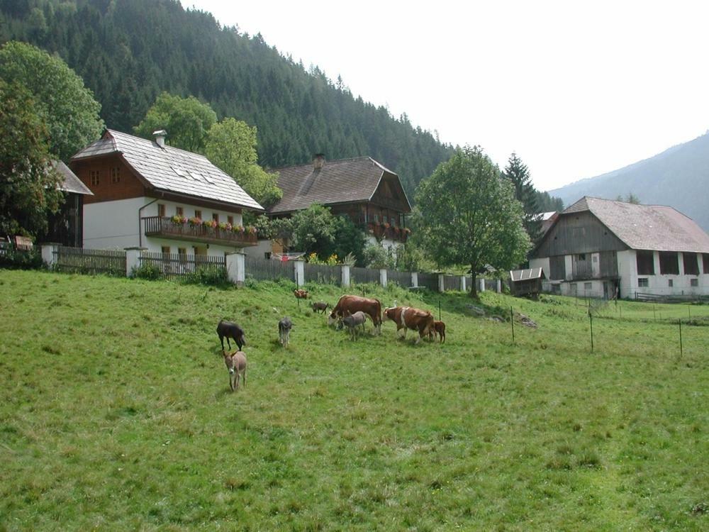 Ferienwohnung Payr Patergassen Extérieur photo